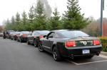 Ford Mustang Bullitt 2008 года
